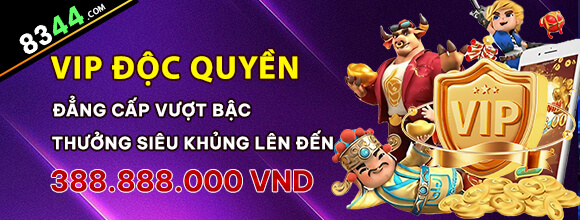Hình ảnh quảng cáo của 888to hiển thị nền tảng và các lợi ích