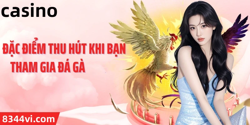 Hình ảnh quảng cáo của 888to hiển thị nền tảng và các lợi ích